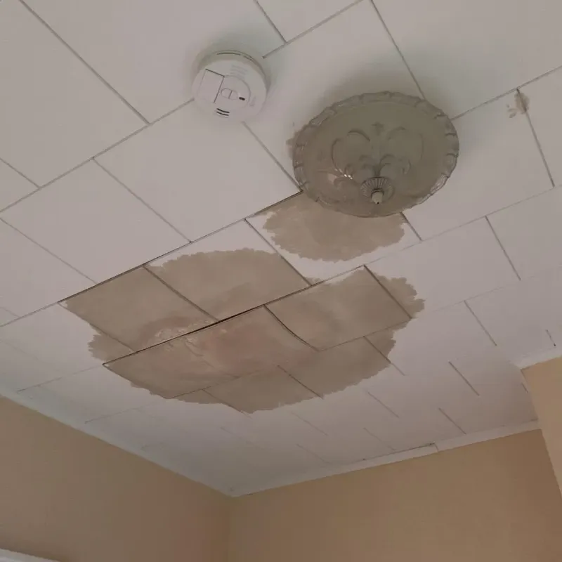 Ceiling Water Damage Repair in Westlake, LA